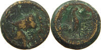 CAMPANIA CALES ANCIENT AE -