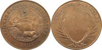 CHILE MEDAL SOCIEDAD NACIONAL DE AGRICULTURA -