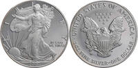 USA 1 Dollar American Silver Eagle -