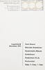 Frankfurt Literatur Dr. Busso Peus Nachfolger - Lagerliste 38 -