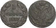 Polen unter russischer Besatzung 1 Grosz Zar Nikolaus I. (1825-1855) - Kursmünze (1835-1841) -