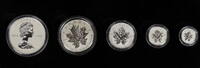 Kanada Kursmünzsatz Royal Canadian Mint - Silver Maple Leaf Fractional Set -