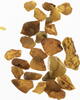 Europa, Afrika Bernstein - Gold des Nordens -