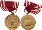 USA Orden National Defence Service Medal 1970 - 1980 -