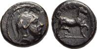 Griechen - Tessalien AE Chalkous Tessalien - Phalanna -