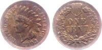 USA 1 Cent Indian Head (1859-1909) -