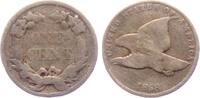 USA 1 Cent Indian Head (1859-1909) -