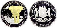 Somalia 100 Shiling Elefant - 1 Silberunze mit 24-karätiger Teilvergoldung. -
