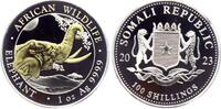Somalia 100 Shillings Elefantenkopf - 1 Silberunze mit 24-karätiger Teilvergoldung -