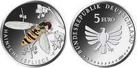 Deutschland - BRD 5 Euro Wunderwelt Insekten - Hainschwebefliege - Schwebefliege -