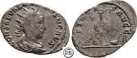 Saloninus Caesar (258-260) Antoninian Roma, 5. Emission, Büste / Priestergeräte, -