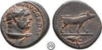 Trajan (98-117) Quadrans 107-109 n. Chr Roma, Hercules / Eber, schöne Pa... 95,00 EUR  + 14,00 EUR frais d'envoi