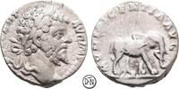 Septimius Severus (193-211) Denar Roma, Kopf / MVNIFICENTIA AVG Elefant, gesuchter Typus, Rv. hübsch zentriert, -