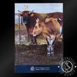 Malta 2025 2 Euro Commemorative – Official Coincard – Maltese Ox – FDC