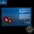Japan 2025 Yen Annual Set – Official Mint Set – Snake – FDC