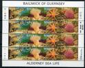 Guernsey KB Guernsey KB 61-64 gestempelt Meeresfauna MiNr. 61-64 gestempelt Meeresfauna -