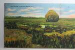 AK New Hampshire Salt Marsh, Hampton Beach. N. H. 1940 gebraucht -