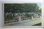 AK Sioux Falls Cactus Garden, McKennan Park ungebraucht -
