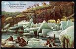 AK Hamburg Carl Hagenbeck´s Tierpark, coloriert um 1910 gebraucht -