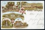 AK Springe Landkreis Region Hannover Meyer´s Hotel, Jagd Schloß 1900 gebraucht -