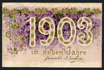 AK Neujahrs-Grußkarte Reliefkarte 1903 gebraucht -