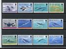Süd-Georgien Süd-Georgien 219-230 postfrisch Fische MiNr. 219-230 postfrisch Fische -