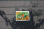 Spanien Spanien 3741 postfrisch Europa Zirkus MiNr. 3741 postfrisch Europa Zirkus -