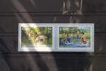 Irland Irland 1339-1340 postfrisch Europa Lebensspender Wasser MiNr. 1339-1340 postfrisch Europa Lebensspender Wasser -