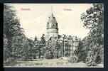 AK Detmold Fürstliches Residenzschlß um 1900 ungebraucht -