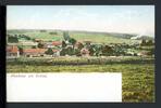 AK Neuhaus - Landkreis Holzminden Totalansicht um 1900 -