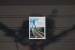 Irland Irland 1558 postfrisch MiNr. 1558 postfrisch -