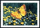 St. Vincent St. Vincent Block 447 postfrisch Schmetterlinge MiNr. Block 447 postfrisch Schmetterlinge -