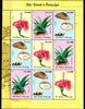 Sao Tome e Principe Sao Tome e Principe postfrisch Vignettenkleinbogen / Pilze postfrisch Vignettenkleinbogen / Pilze -