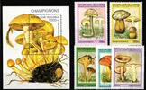 Guinea Guinea 1568-1572 und Block 500 postfrisch Pilze MiNr. 1568-1572 und Block 500 postfrisch Pilze -
