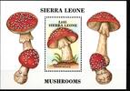 Sierra Leone Sierra Leone Block 75 postfrisch Pilze MiNr. Block 75 postfrisch Pilze -