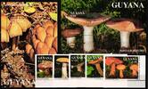 Guyana Guyana 3680-3684 und Block 142 und 143 postfrisch Pilze MiNr. 3680-3684 und Block 142 und 143 postfrisch Pilze -