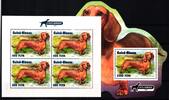 Guinea-Bissau Guinea-Bissau Block 1748 + 10159 postfrisch als Kleinbogen, Hunde, Dackel MiNr. Block 1748 + 10159 postfrisch als Kleinbogen, Hu -