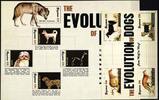 Guyana Guyana 8319-8327 postfrisch Hunde MiNr. 8319-8327 postfrisch Hunde -
