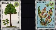 Belize Belize 610 und 612 postfrisch aus Satz 610-613 / Pflanzen MiNr. 610 und 612 postfrisch aus Satz 610-613 / Pflanzen -