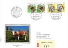 Schweiz 1461-1462 als Ersttagsbrief als Mehrfachfrankatur -