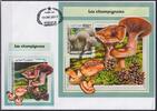 Dschibuti Dschibuti Block 917 gestempelt als FDC / Pilze MiNr. Block 917 gestempelt als FDC / Pilze -