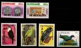 Surinam Porto Surinam Porto 58-63 postfrisch MiNr. 58-63 postfrisch -