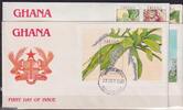 Ghana Ghana 1439-1446 und Block 162 und 163 gestempelt als FDCs / Pflanzen MiNr. 1439-1446 und Block 162 und 163 gestempelt als FDCs / -