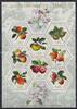 Liechtenstein Liechtenstein 1765-1772 postfrisch als ZD-Bogen, Äpfel MiNr. 1765-1772 postfrisch als ZD-Bogen, Äpfel -