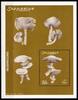 Somalia Somalia Block 94 postfrisch Pilze MiNr. Block 94 postfrisch Pilze -