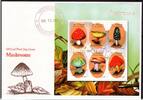 St. Vincent St. Vincent 5198-5203 gestempelt als FDC / Kleinbogen MiNr. 5198-5203 gestempelt als FDC / Kleinbogen -