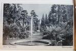 AK Bad Pyrmont Palmengarten 1942 gebraucht -
