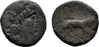 CAMPANIA Æ-14 mm NEAPOLIS. -