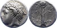 Kyrenaika Didrachme Magas, Halbbruder des Ptolemaios I., als Gouverneur von Kyrene. 308-277 v. Chr.. -