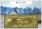 Belize 1 Dollar 1984 ND Blue Heron (gold) in plastic envelope with certi... 49,95 EUR  + 17,00 EUR frais d'envoi